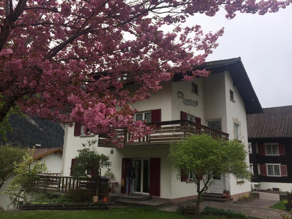 InnerbrazHaus Angelikaアパートメント エクステリア 写真